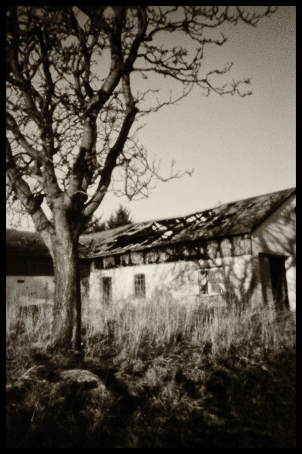 Abandoned farmhouse II